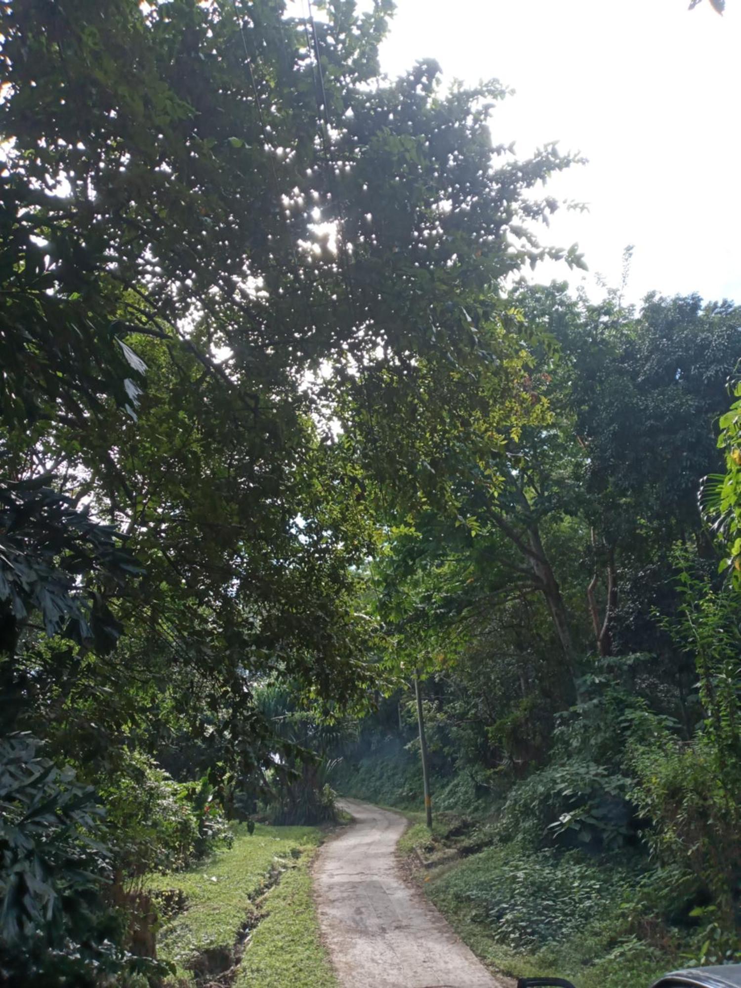 Hostal Juan Lindo San Pedro Sula Exteriér fotografie