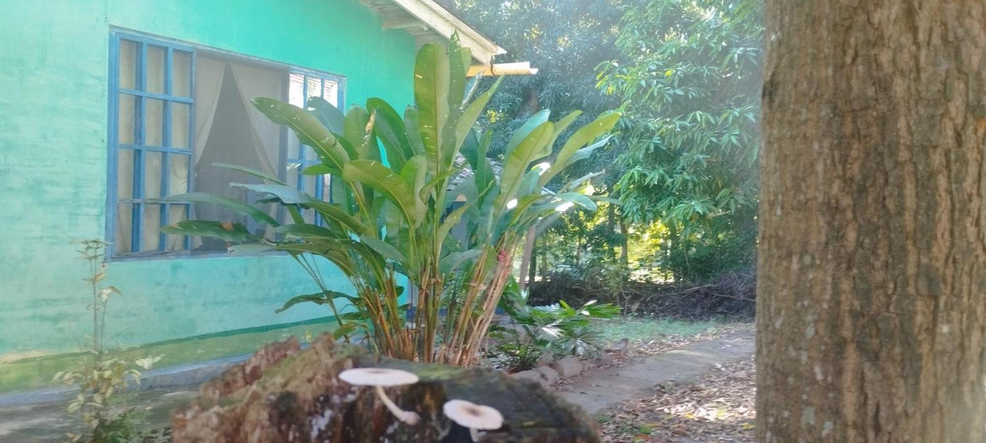 Hostal Juan Lindo San Pedro Sula Exteriér fotografie